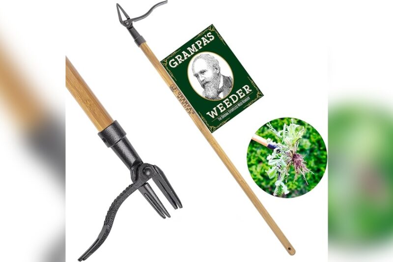 Best Stand-Up Garden Tools for Seniors to Prevent Back Strain
