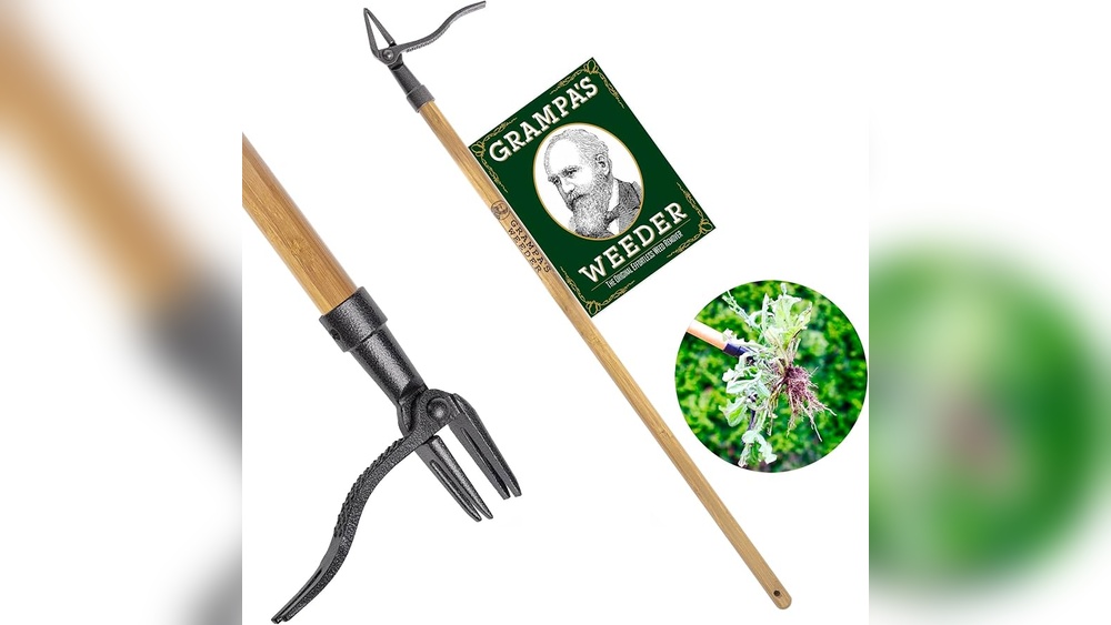 Best Stand-Up Garden Tools for Seniors to Prevent Back Strain
